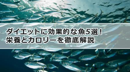 ダイエットに効果的な魚5選！栄養とカロリーを徹底解説