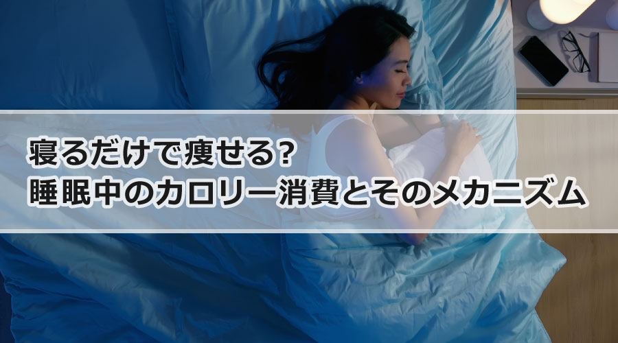 寝るだけで痩せる？睡眠中のカロリー消費とそのメカニズム