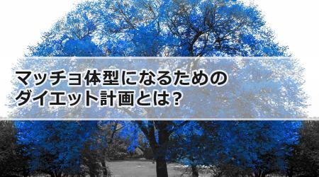 マッチョ体型になるためのダイエット計画とは？