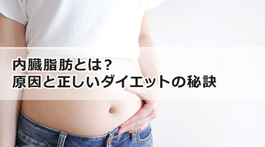 内臓脂肪とは？原因と正しいダイエットの秘訣