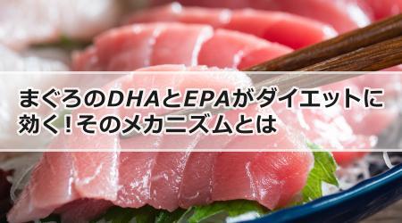 まぐろのDHAとEPAがダイエットに効く！そのメカニズムとは