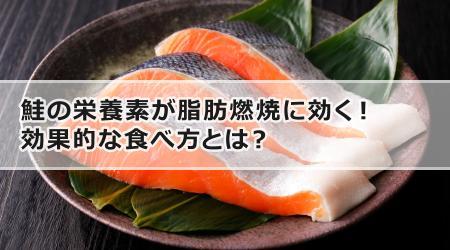 鮭の栄養素が脂肪燃焼に効く！効果的な食べ方とは？